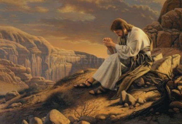 Click this photo to see it enlarged in the entire article